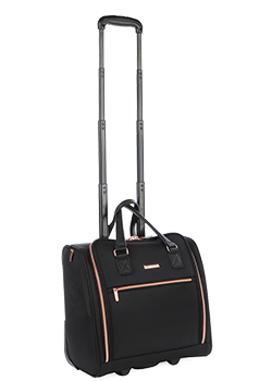 Cellini Allure Mobile Business Case