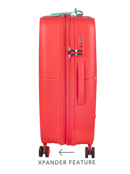 Cellini Cruze Medium 4 Wheel Xpander Trolley Case