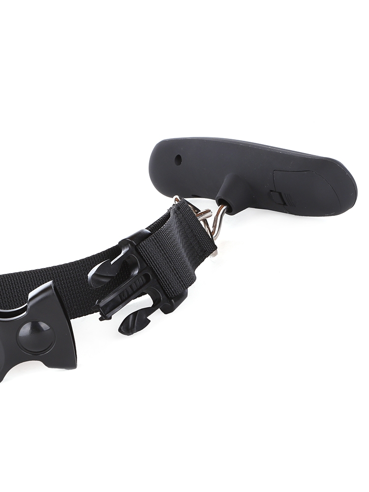 Cellini Accessories Compact Digital Scale