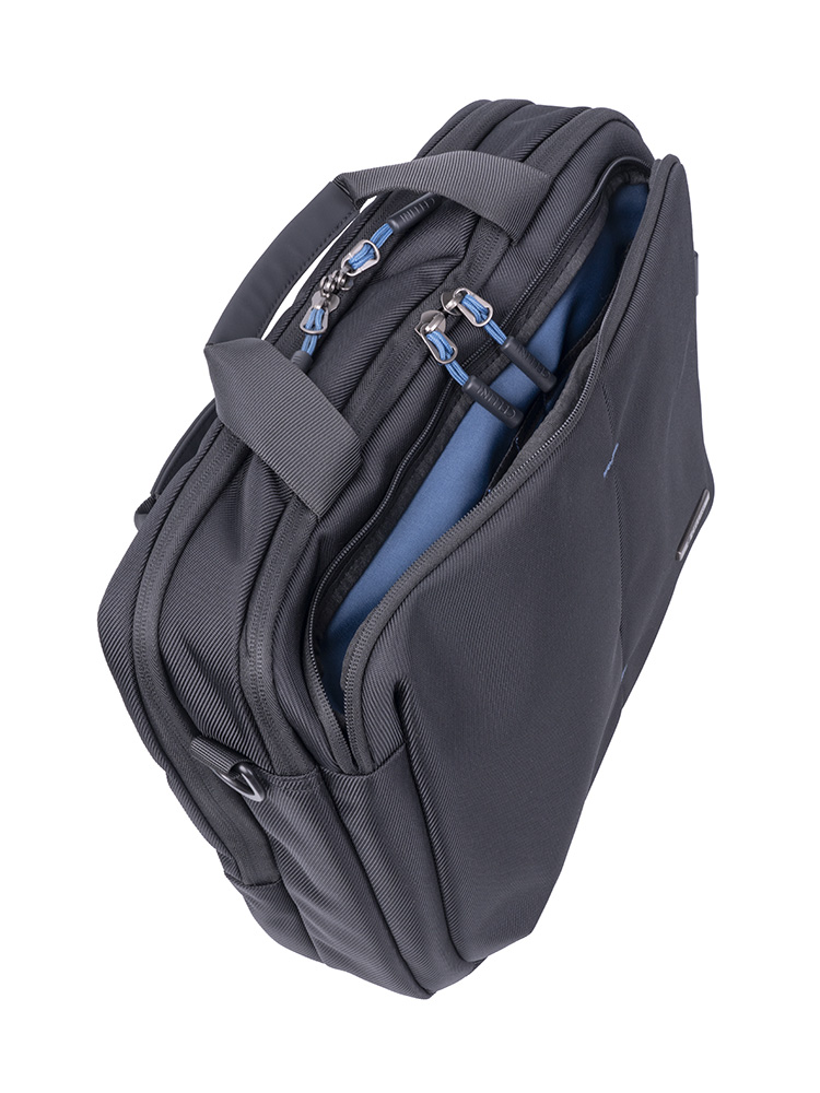 Cellini Biz Business Case